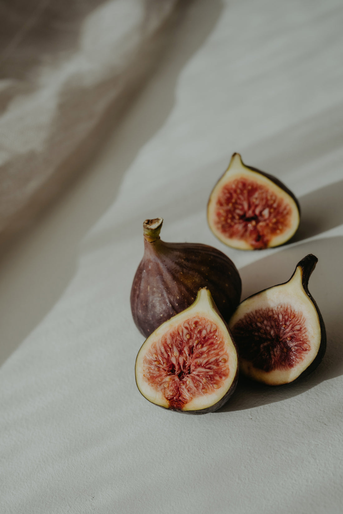 Gute Frucht - Der Feigenbaum und ein gesundes Geistesleben.